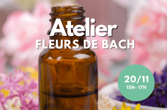 Initiation aux fleurs de Bach à la Teste de Buch le 20 novembre